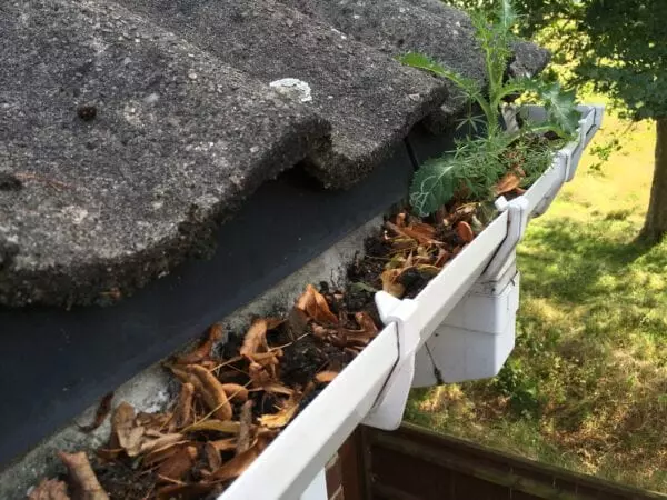 Why Gutter Cleaning is Important