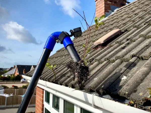 How Often Should Gutters be Cleaned?